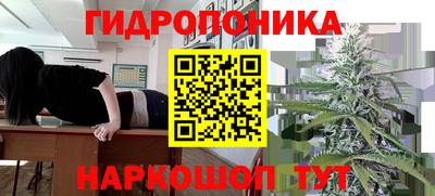 марки lsd Будённовск