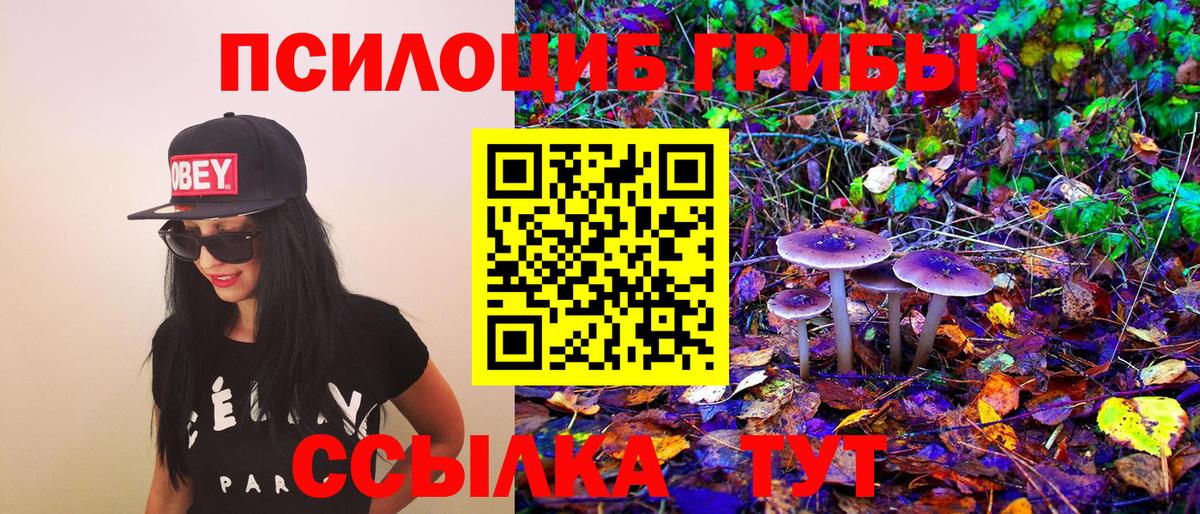 Псилоцибиновые грибы Magic Shrooms Шатура