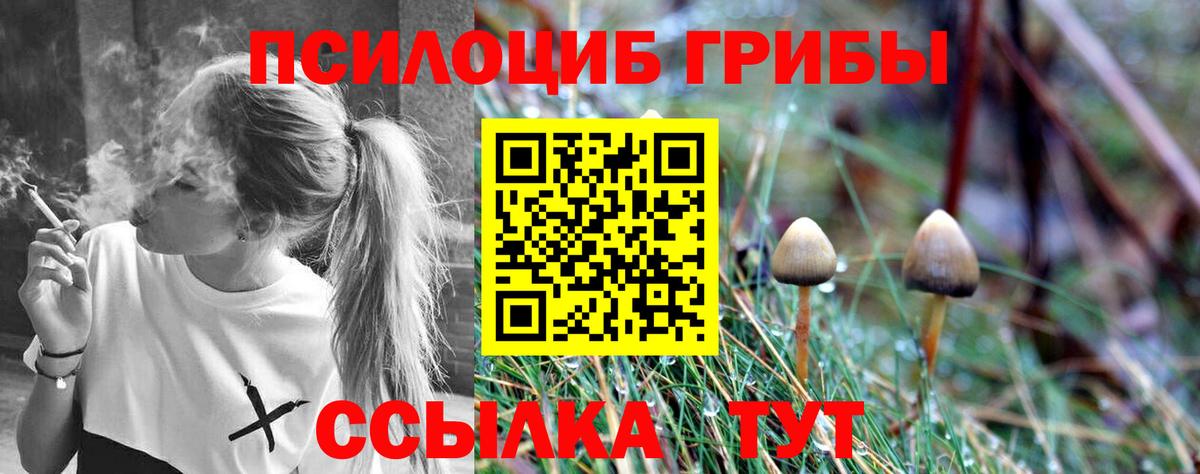 где купить наркоту  Псилоцибиновые грибы мухоморы  Вход с VPN  Шатура 